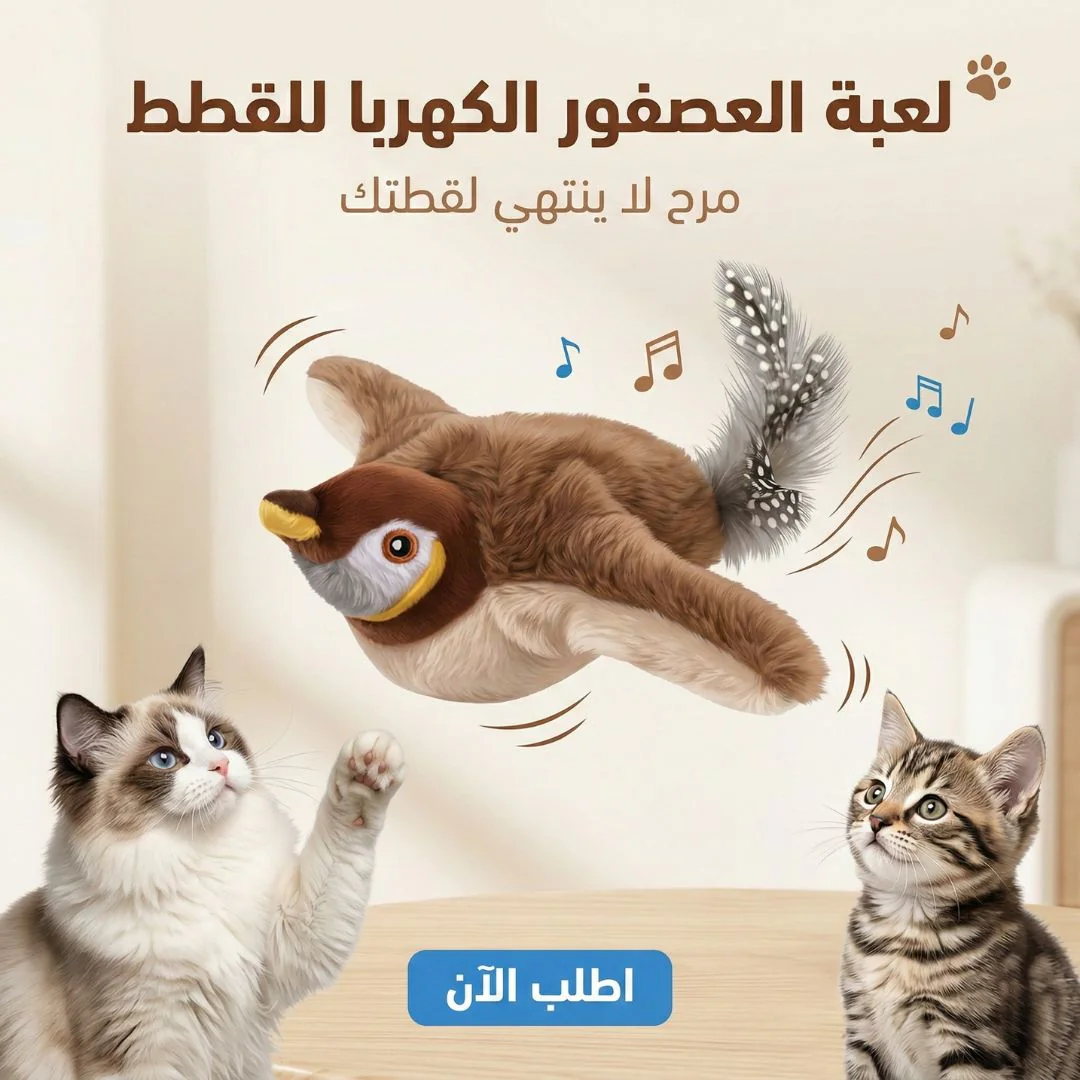 عصفور طائر للقطط والحيوانات الأليفة